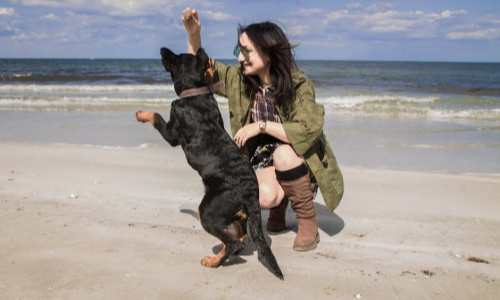 Woman and dog playing on the beach