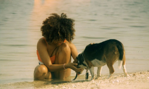woman on the beach playing with dog
