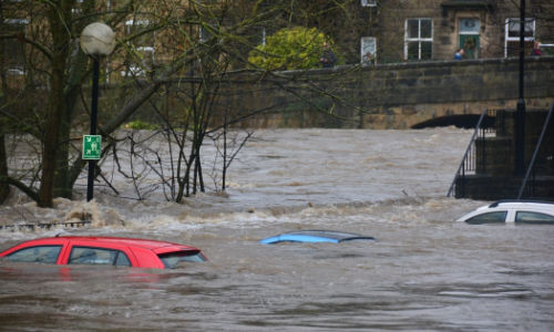 cars covered by flood waters