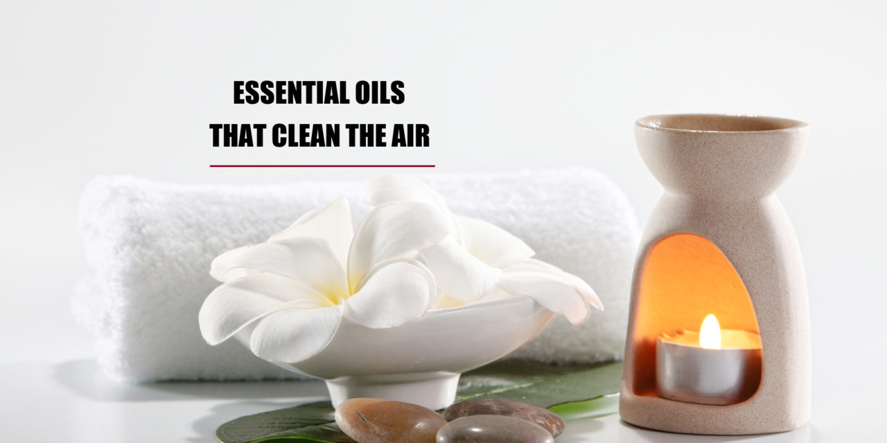 7 Essential Oils That Clean The Air