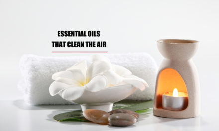7 Essential Oils That Clean The Air