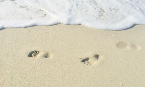 small foot prints in the sand