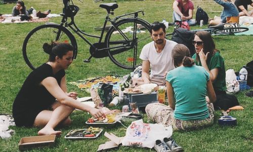 friends having picnic