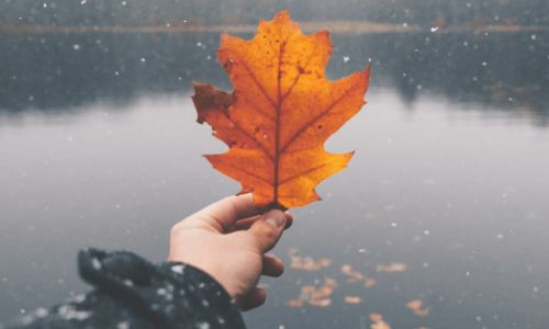 woman holding fall leaf